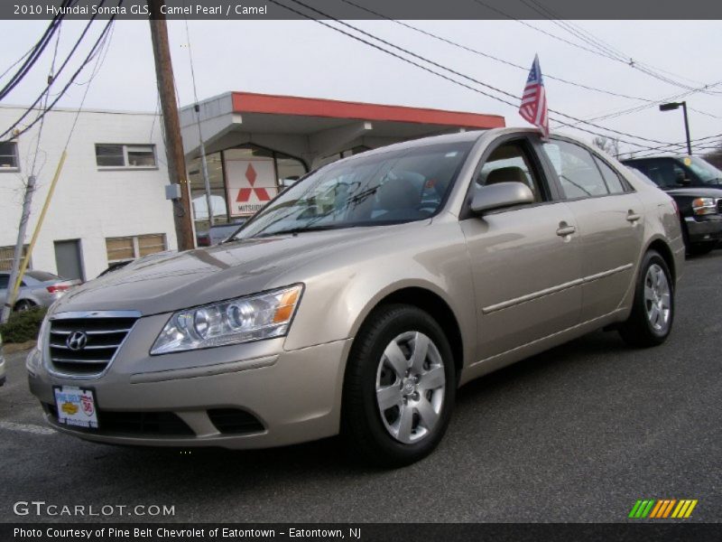 Camel Pearl / Camel 2010 Hyundai Sonata GLS