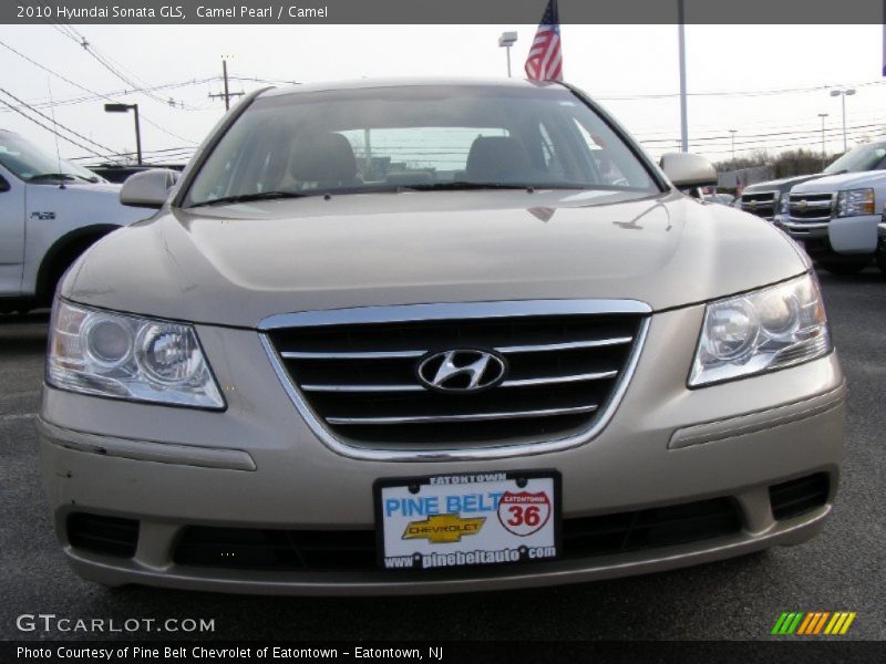 Camel Pearl / Camel 2010 Hyundai Sonata GLS