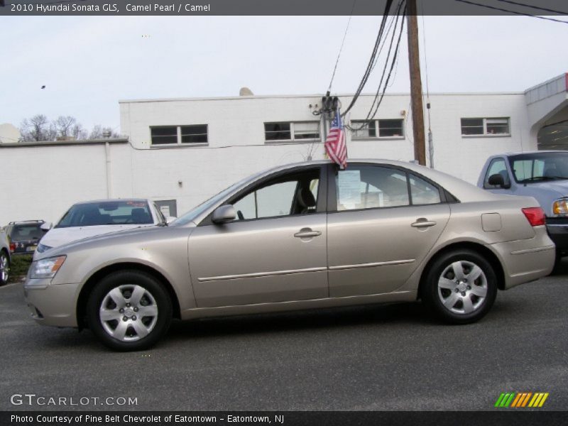 Camel Pearl / Camel 2010 Hyundai Sonata GLS