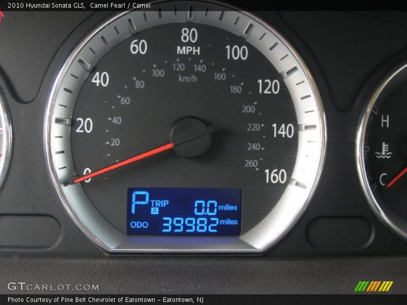 Camel Pearl / Camel 2010 Hyundai Sonata GLS