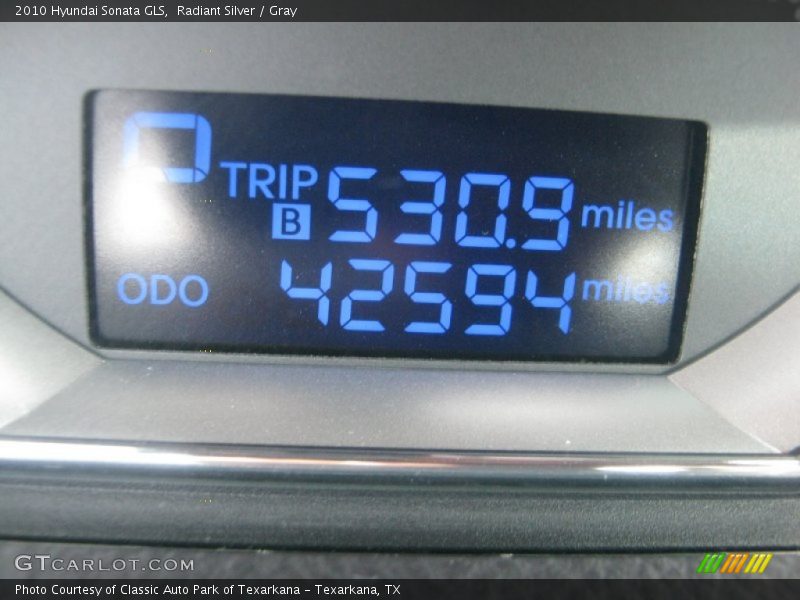 Radiant Silver / Gray 2010 Hyundai Sonata GLS