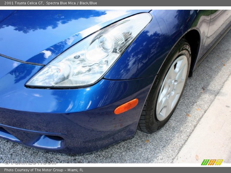Spectra Blue Mica / Black/Blue 2001 Toyota Celica GT