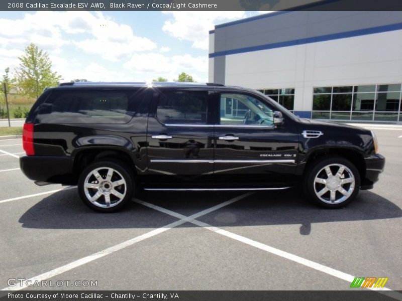 Black Raven / Cocoa/Light Cashmere 2008 Cadillac Escalade ESV AWD