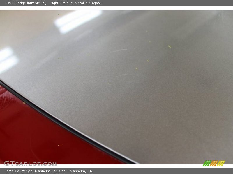 Bright Platinum Metallic / Agate 1999 Dodge Intrepid ES