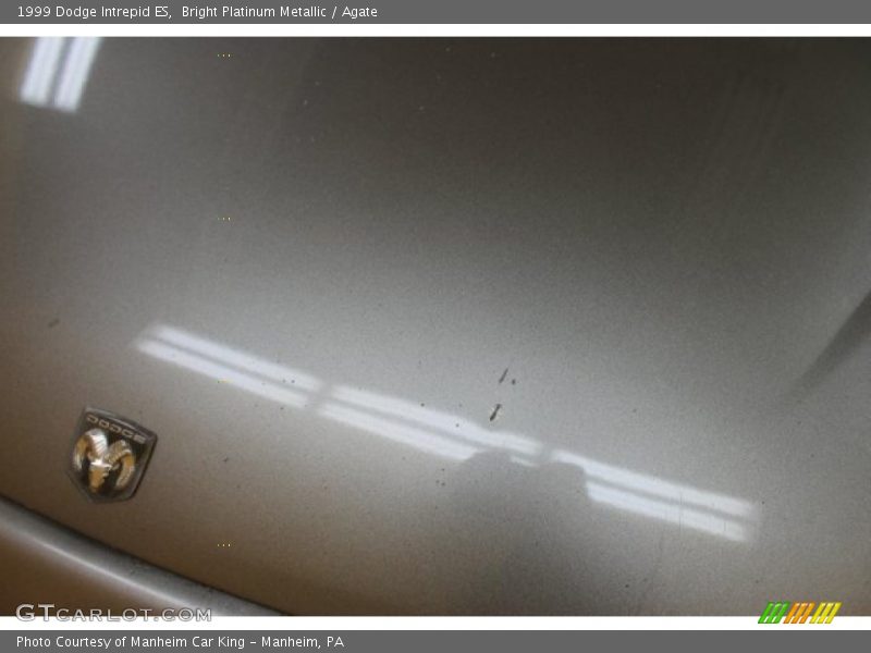 Bright Platinum Metallic / Agate 1999 Dodge Intrepid ES