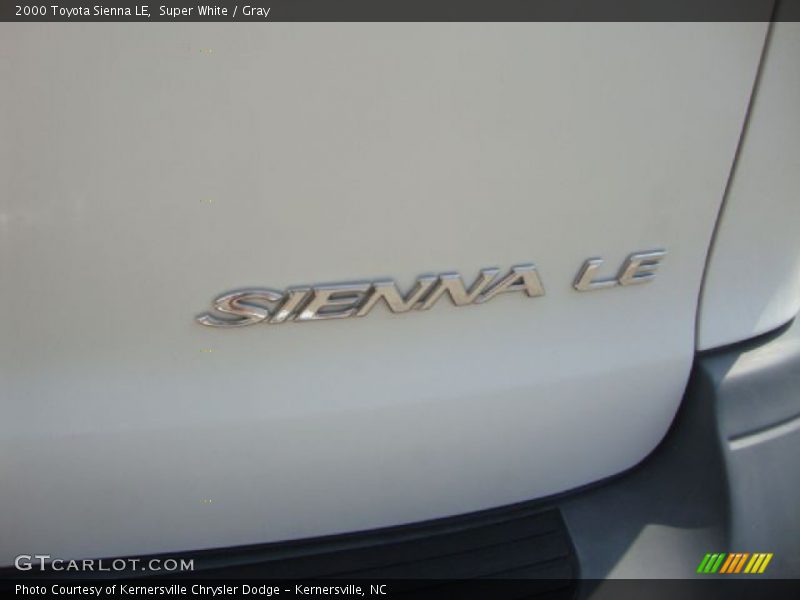Super White / Gray 2000 Toyota Sienna LE