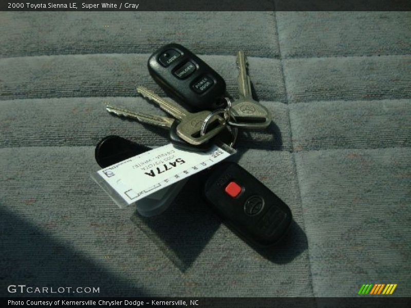 Super White / Gray 2000 Toyota Sienna LE
