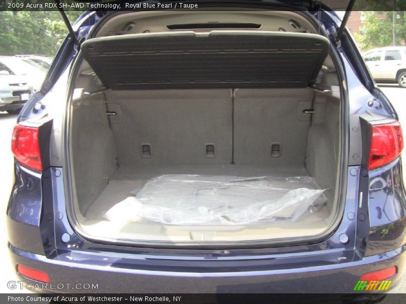 Royal Blue Pearl / Taupe 2009 Acura RDX SH-AWD Technology