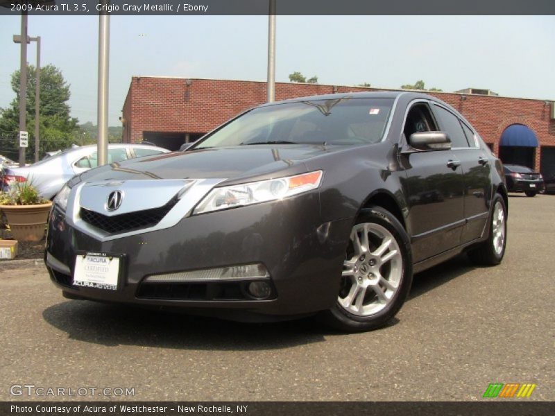 Grigio Gray Metallic / Ebony 2009 Acura TL 3.5