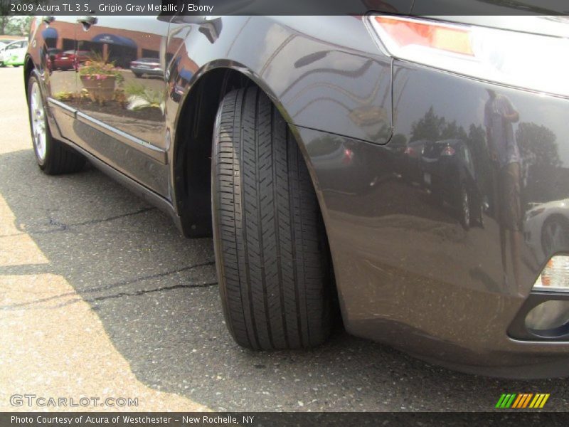Grigio Gray Metallic / Ebony 2009 Acura TL 3.5