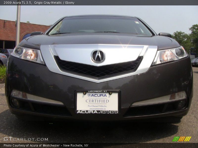 Grigio Gray Metallic / Ebony 2009 Acura TL 3.5