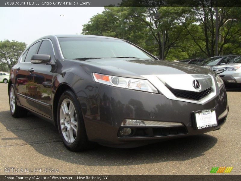 Grigio Gray Metallic / Ebony 2009 Acura TL 3.5