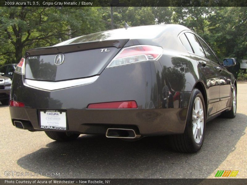 Grigio Gray Metallic / Ebony 2009 Acura TL 3.5