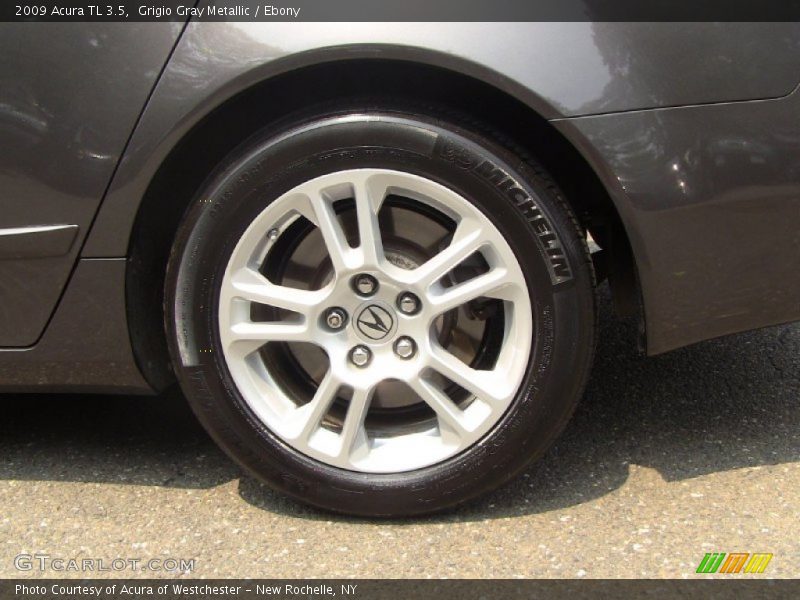 Grigio Gray Metallic / Ebony 2009 Acura TL 3.5