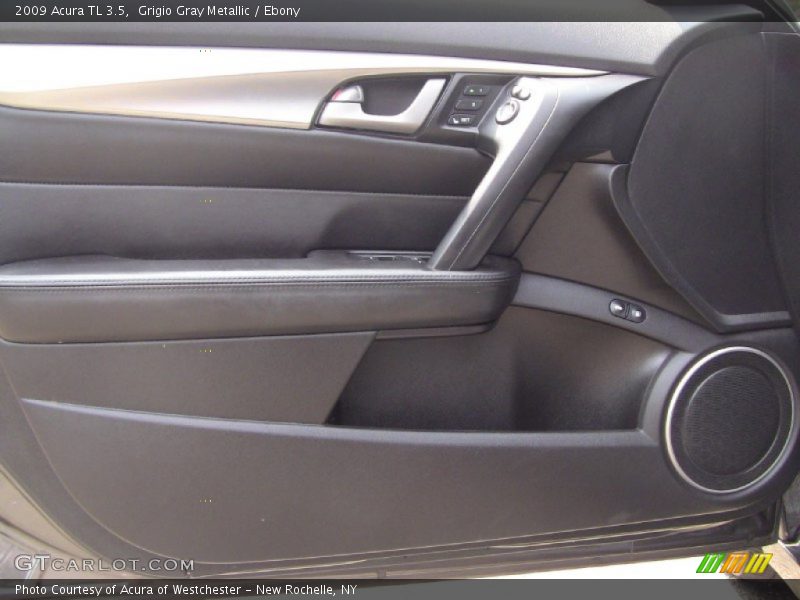 Grigio Gray Metallic / Ebony 2009 Acura TL 3.5