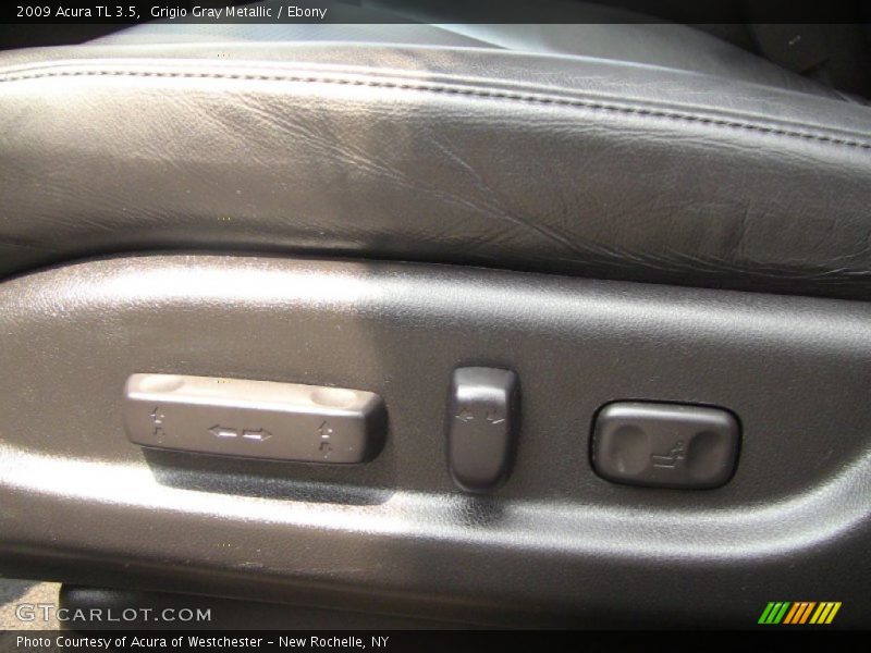 Grigio Gray Metallic / Ebony 2009 Acura TL 3.5
