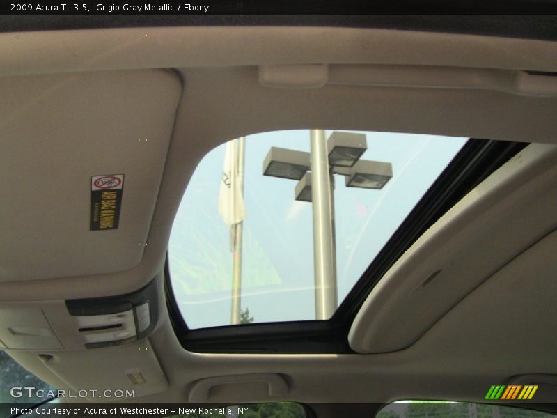 Grigio Gray Metallic / Ebony 2009 Acura TL 3.5