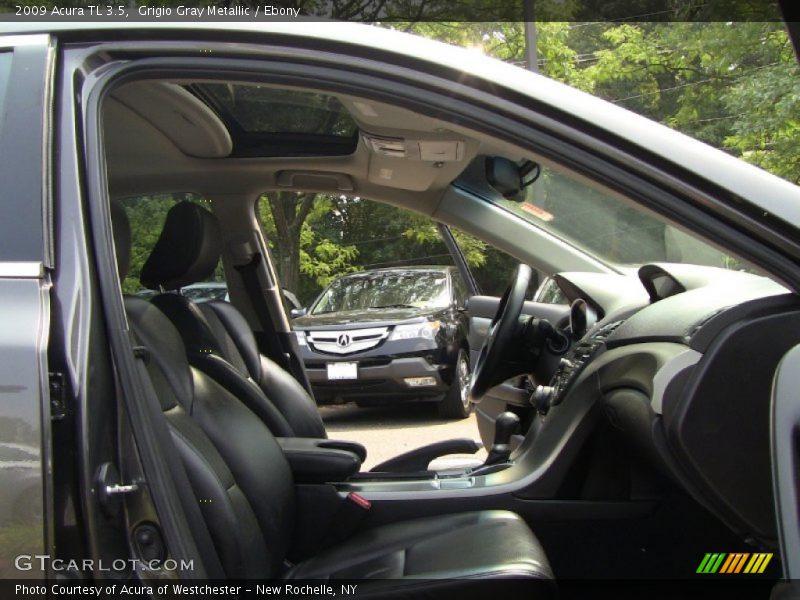 Grigio Gray Metallic / Ebony 2009 Acura TL 3.5