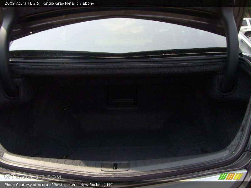Grigio Gray Metallic / Ebony 2009 Acura TL 3.5