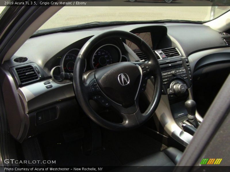 Grigio Gray Metallic / Ebony 2009 Acura TL 3.5
