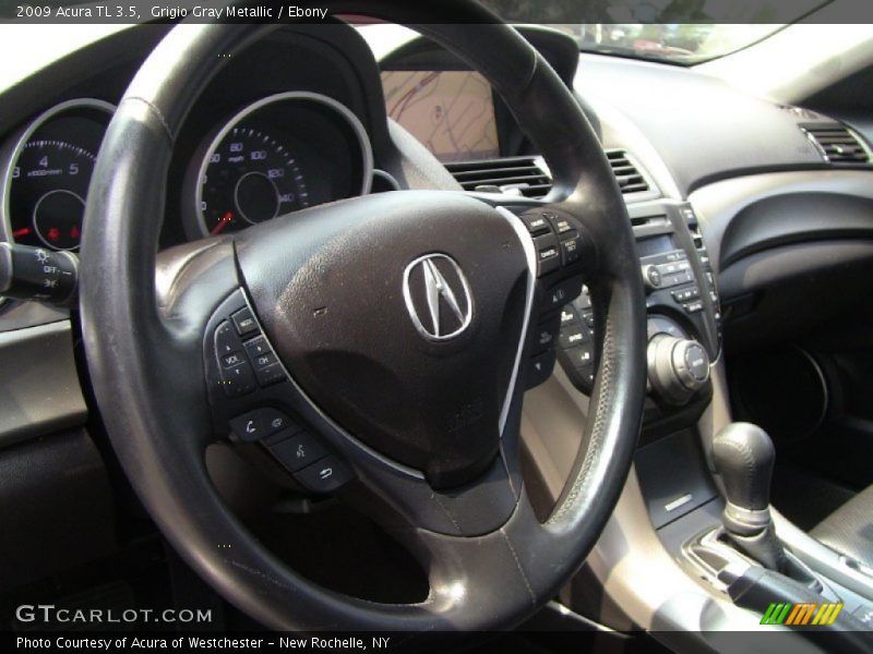 Grigio Gray Metallic / Ebony 2009 Acura TL 3.5