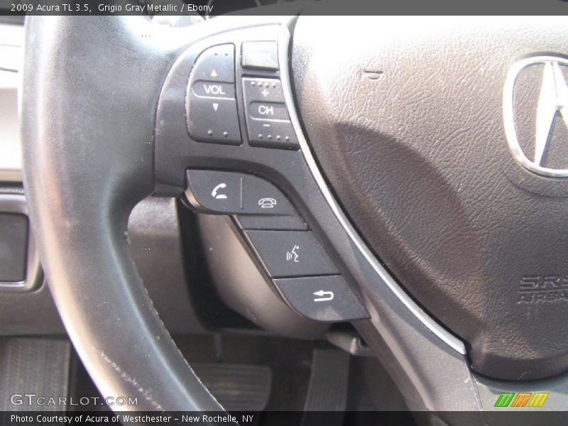 Grigio Gray Metallic / Ebony 2009 Acura TL 3.5