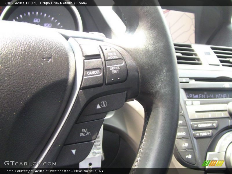 Grigio Gray Metallic / Ebony 2009 Acura TL 3.5