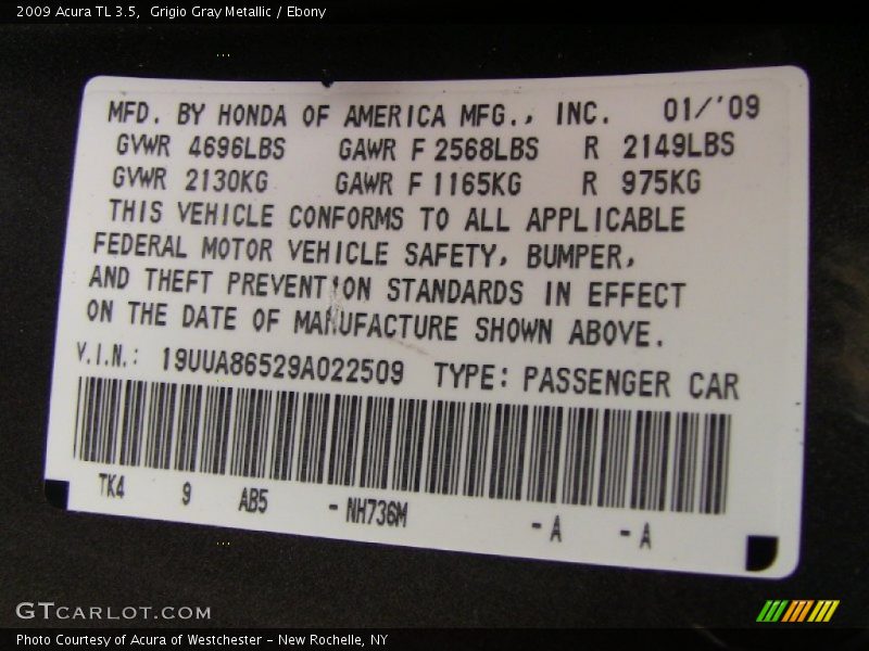 Grigio Gray Metallic / Ebony 2009 Acura TL 3.5