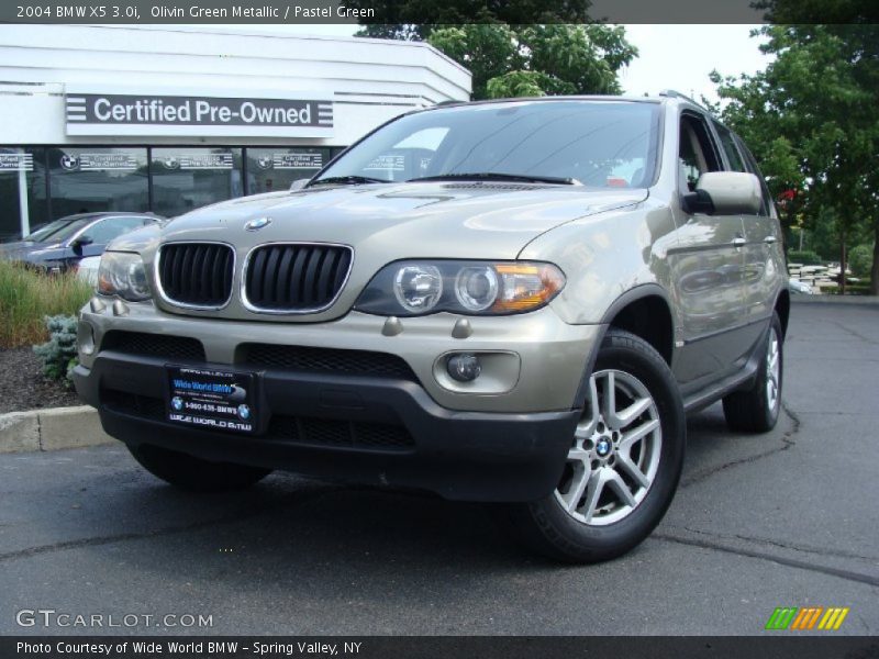 Olivin Green Metallic / Pastel Green 2004 BMW X5 3.0i