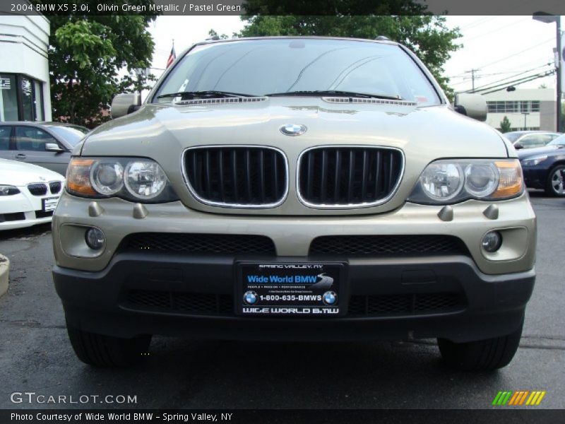 Olivin Green Metallic / Pastel Green 2004 BMW X5 3.0i