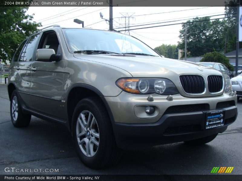 Olivin Green Metallic / Pastel Green 2004 BMW X5 3.0i
