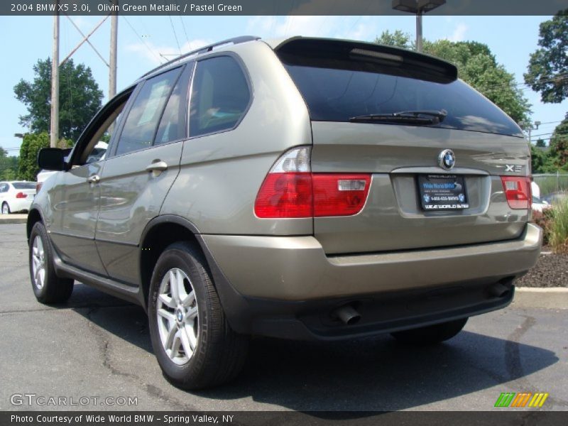Olivin Green Metallic / Pastel Green 2004 BMW X5 3.0i