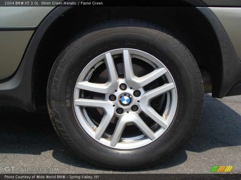 Olivin Green Metallic / Pastel Green 2004 BMW X5 3.0i