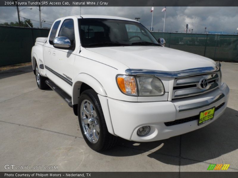 Natural White / Gray 2004 Toyota Tundra SR5 Access Cab