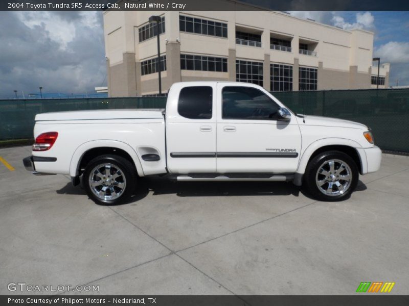 Natural White / Gray 2004 Toyota Tundra SR5 Access Cab