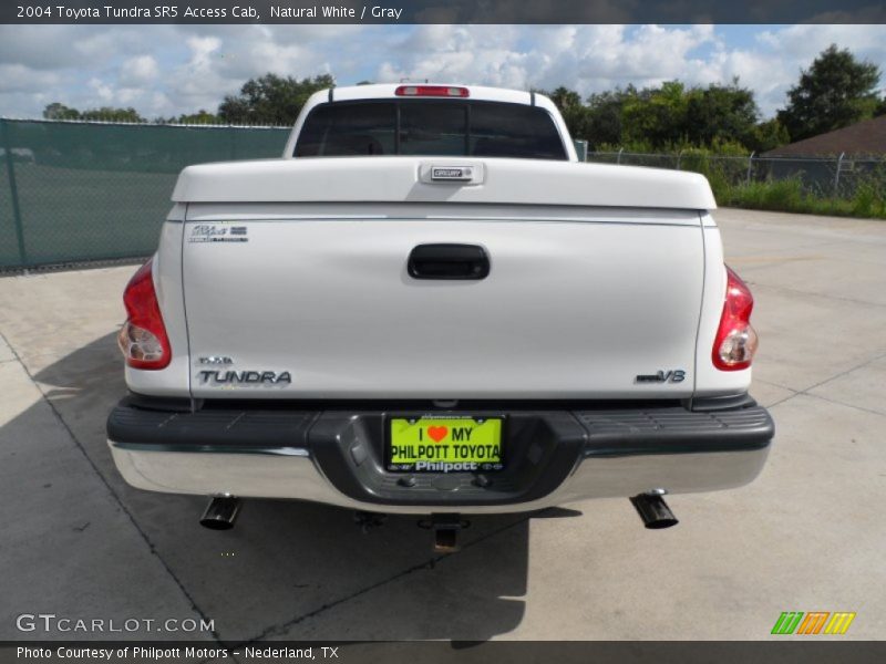 Natural White / Gray 2004 Toyota Tundra SR5 Access Cab