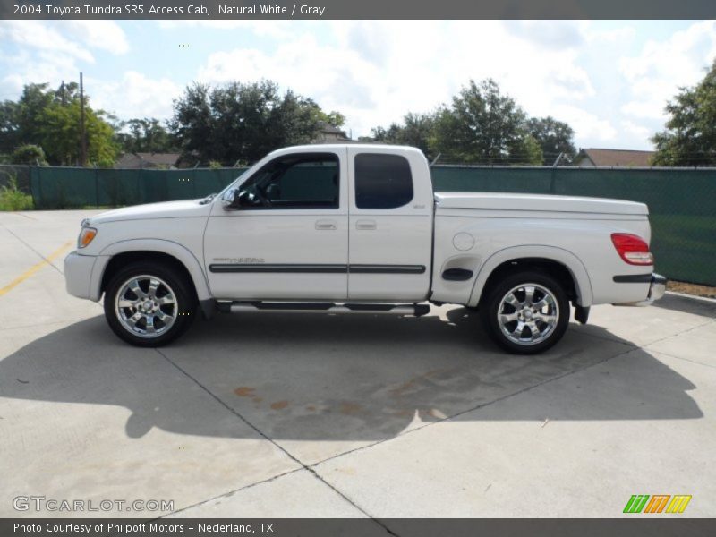 Natural White / Gray 2004 Toyota Tundra SR5 Access Cab