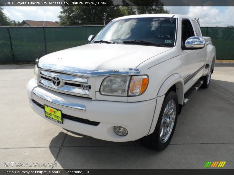 Natural White / Gray 2004 Toyota Tundra SR5 Access Cab