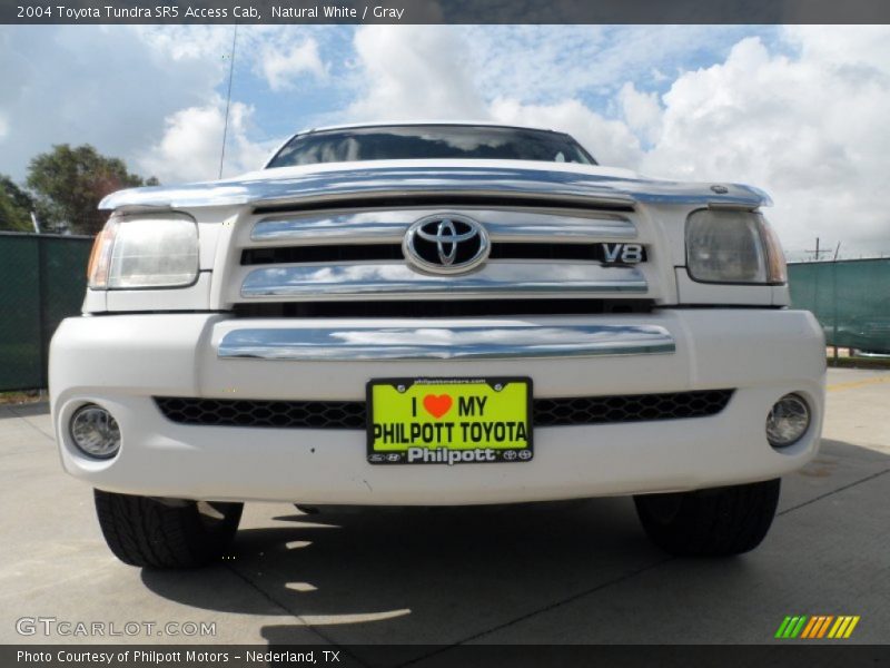 Natural White / Gray 2004 Toyota Tundra SR5 Access Cab