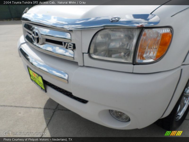 Natural White / Gray 2004 Toyota Tundra SR5 Access Cab