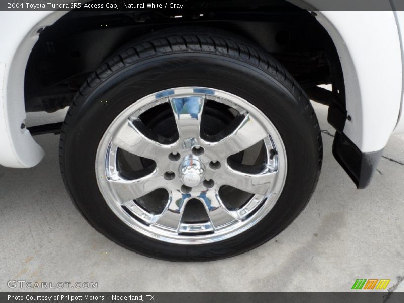 Natural White / Gray 2004 Toyota Tundra SR5 Access Cab