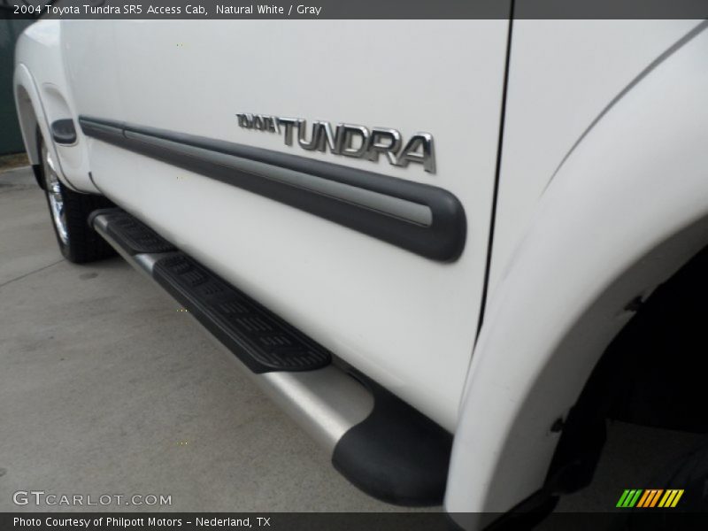 Natural White / Gray 2004 Toyota Tundra SR5 Access Cab