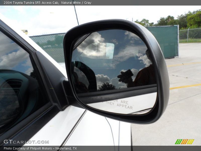 Natural White / Gray 2004 Toyota Tundra SR5 Access Cab