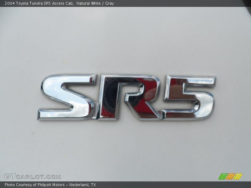 Natural White / Gray 2004 Toyota Tundra SR5 Access Cab