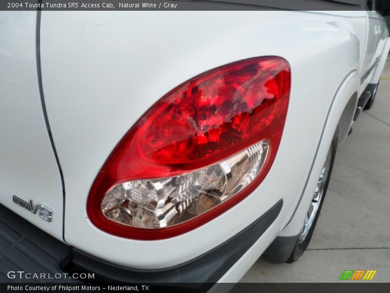 Natural White / Gray 2004 Toyota Tundra SR5 Access Cab