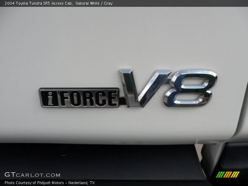 Natural White / Gray 2004 Toyota Tundra SR5 Access Cab