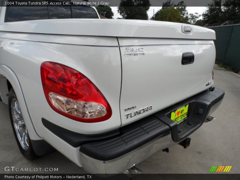 Natural White / Gray 2004 Toyota Tundra SR5 Access Cab