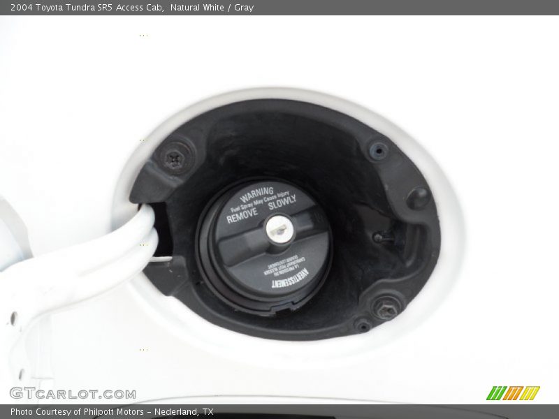 Natural White / Gray 2004 Toyota Tundra SR5 Access Cab