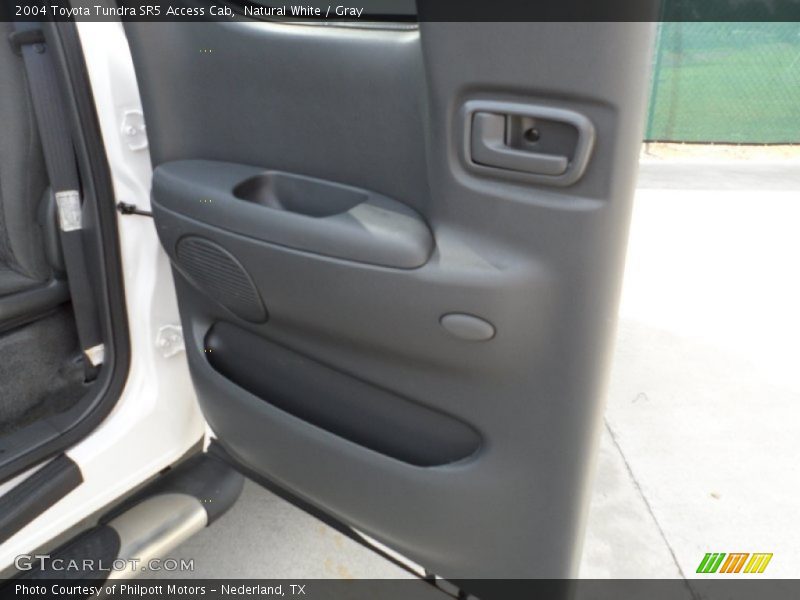Natural White / Gray 2004 Toyota Tundra SR5 Access Cab
