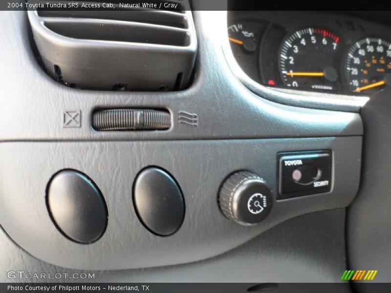 Natural White / Gray 2004 Toyota Tundra SR5 Access Cab